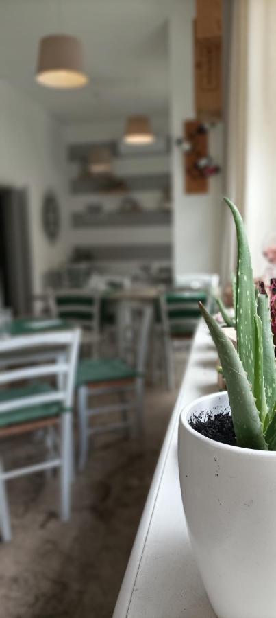 Apartmán La Casina Di Ale Marina Di Carrara Exteriér fotografie